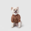 Load image into Gallery viewer, Luxury Comfort Sweater