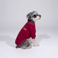 Load image into Gallery viewer, Cozy Everyday Dog Hoodie