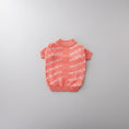 Load image into Gallery viewer, Balenci - Pup sweater