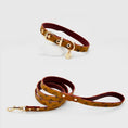 Load image into Gallery viewer, Lauren Series harness and collar