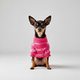 Load image into Gallery viewer, Balenci - Pup sweater