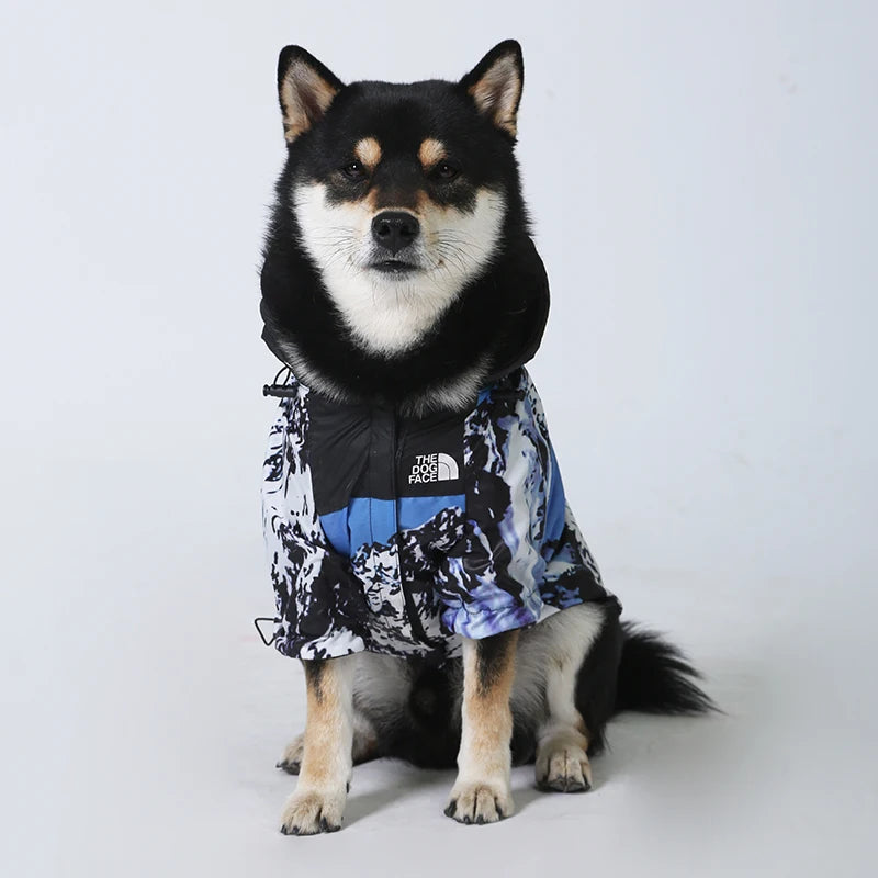 The Dog Face raincoat