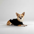 Load image into Gallery viewer, The Lounge Knit