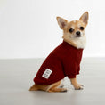 Load image into Gallery viewer, The Lounge Knit