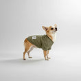 Load image into Gallery viewer, The Lounge Knit