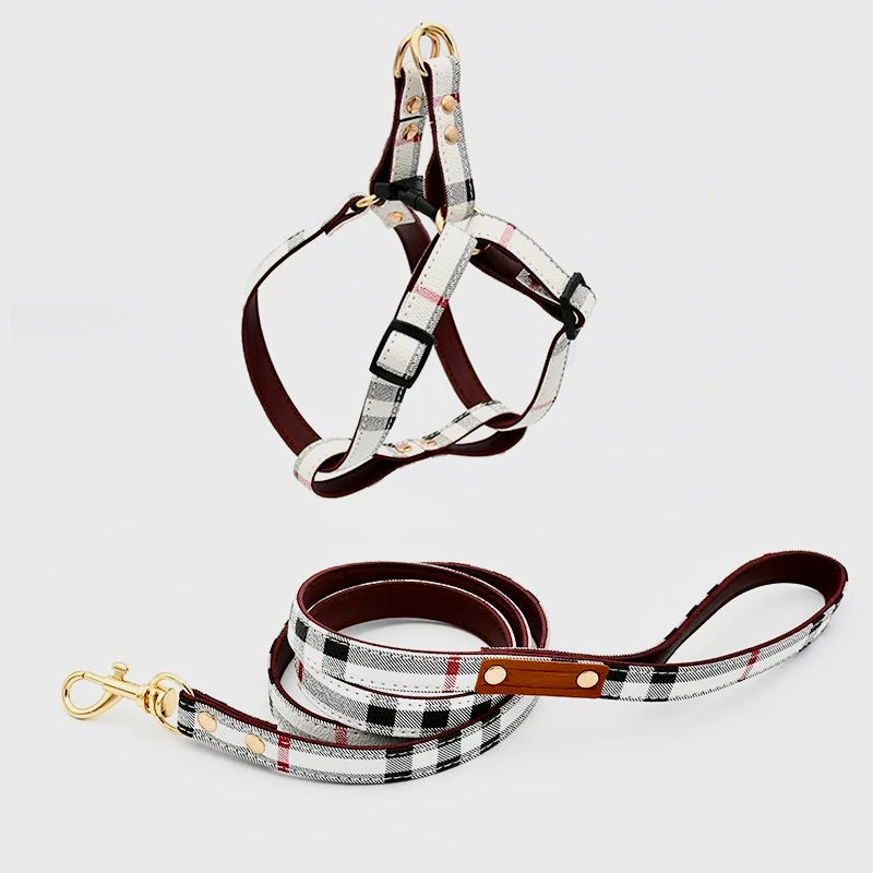 Lauren Series harness and collar