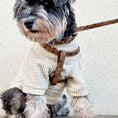 Load image into Gallery viewer, Lauren Series harness and collar
