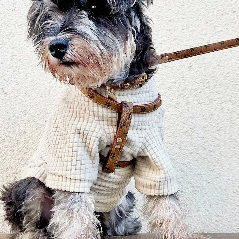 Lauren Series harness and collar