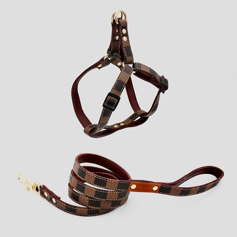 Lauren Series harness and collar