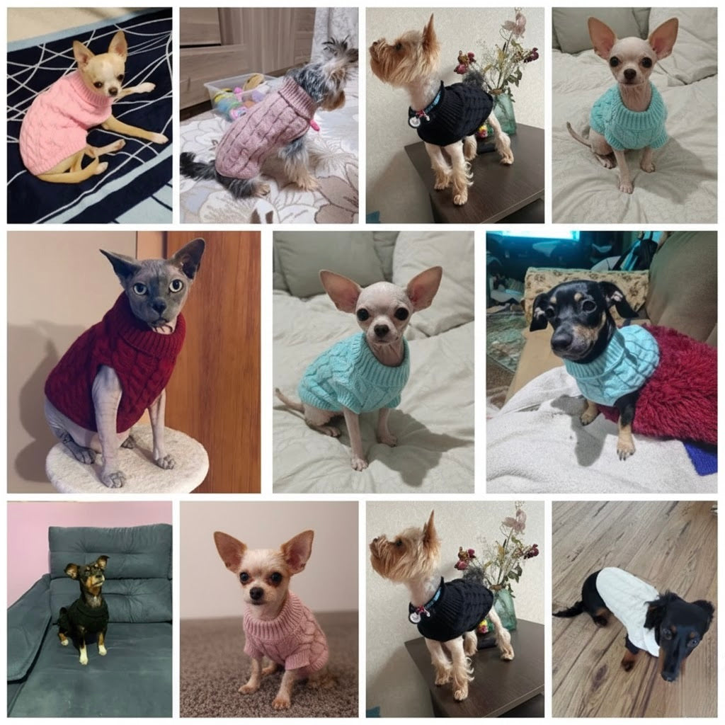 The "Classic Cozy" Turtleneck Knit