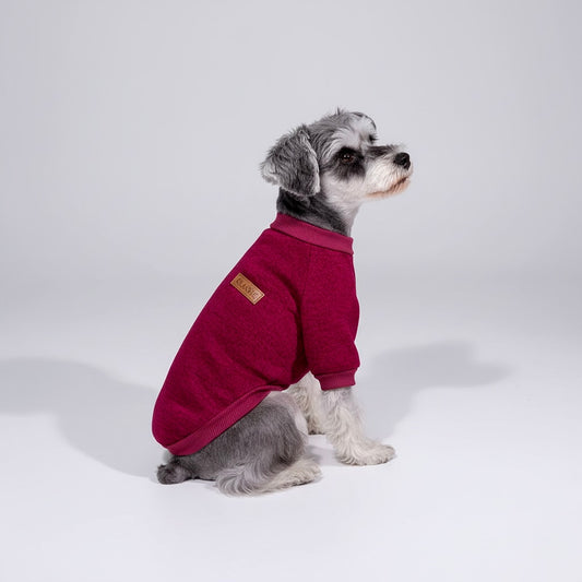 Cozy Everyday Dog Hoodie