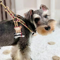 Load image into Gallery viewer, Classic Plaid Harness & Leash Set
