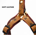 Load image into Gallery viewer, Lauren Series harness and collar
