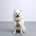 Load image into Gallery viewer, Plaid Safety Harness
