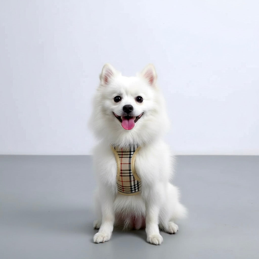 Plaid Safety Harness