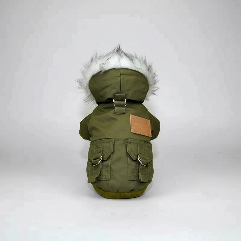 The Puparka