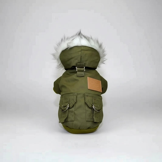 The Puparka