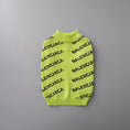 Load image into Gallery viewer, Balenci - Pup sweater
