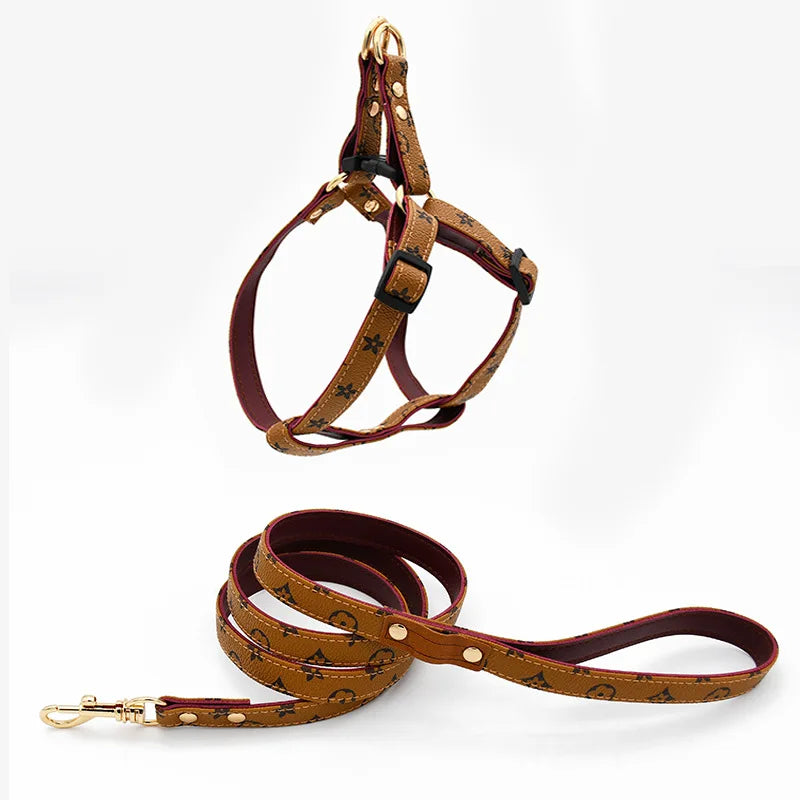 Lauren Series harness and collar