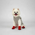 Load image into Gallery viewer, Waterproof Winter Paw Protector Boots
