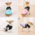 Load image into Gallery viewer, The Pet Fans - Pawfect Breeze Vest
