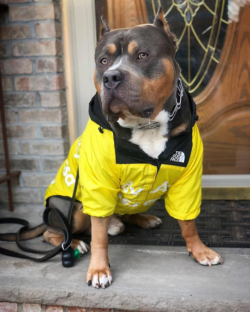 The Dog Face raincoat