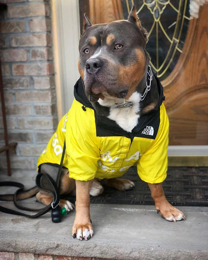 The Dog Face raincoat