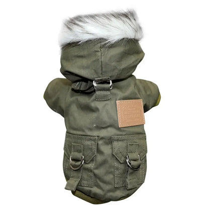 The Puparka