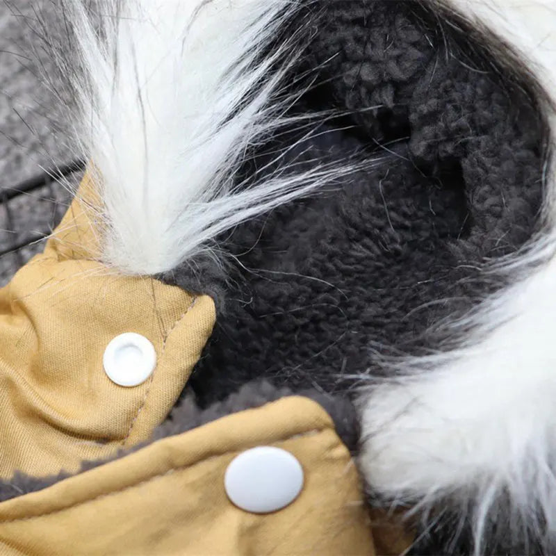 The Puparka