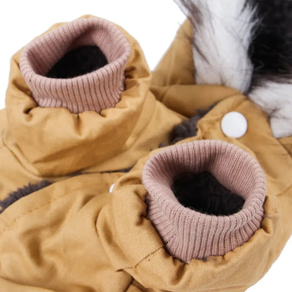 The Puparka