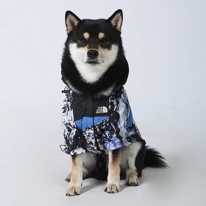 The Dog Face raincoat