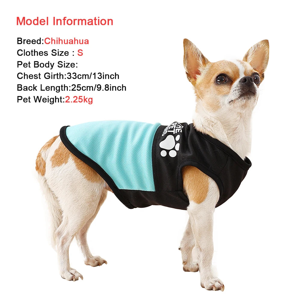 The Pet Fans - Pawfect Breeze Vest