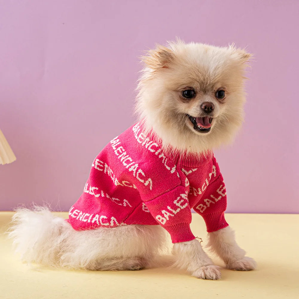 Balenci - Pup sweater