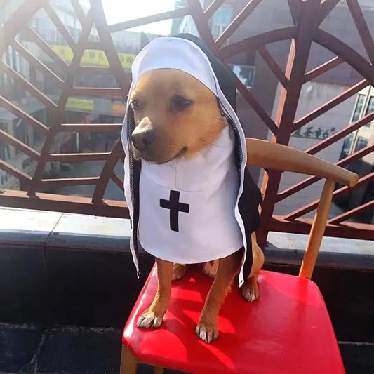 Holy Pup Habit