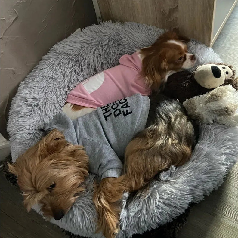 The Dog Face Hoodie