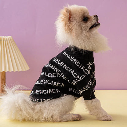 Balenci - Pup sweater