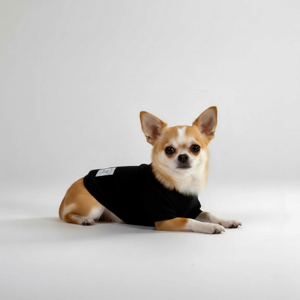 The Lounge Knit