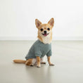Load image into Gallery viewer, The Lounge Knit
